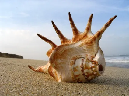 Відпочинок на морі