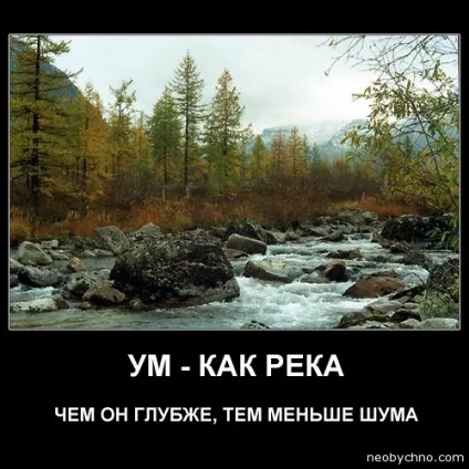 Оригінальні статуси і цитати для соціальних мереж (статуси) Оригінальні статуси і цитати для соціальних мереж