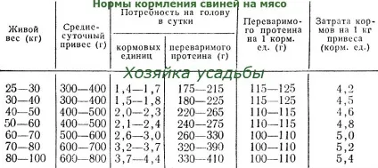 Відгодівлю свиней в домашніх умовах (домашніх) Відгодівлю свиней в домашніх умовах