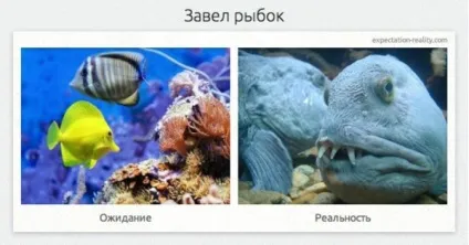Очікування і реальність, netlore побут, мрії, очікування і реальність