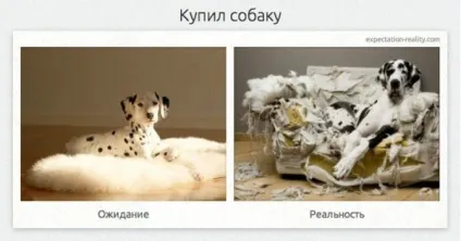 Очікування і реальність, netlore побут, мрії, очікування і реальність