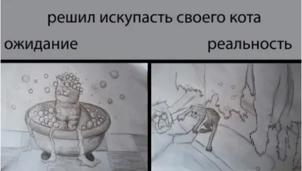 Очікування і реальність, netlore побут, мрії, очікування і реальність