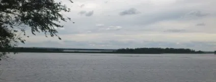 Пелядь - на рибалці!