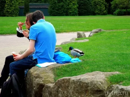 Парк атракціонів alton towers в Англії (парк) Парк атракціонів alton towers в Англії