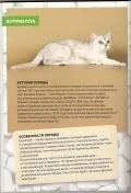 Розплідник бурманских кішок chatburdeoa