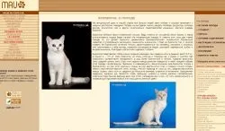 Розплідник бурманских кішок chatburdeoa
