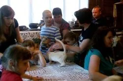 Розплідник бурманских кішок chatburdeoa