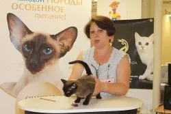 Розплідник бурманских кішок chatburdeoa