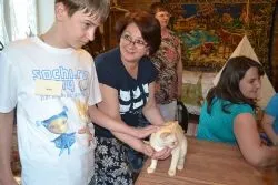 Розплідник бурманских кішок chatburdeoa
