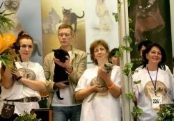 Розплідник бурманских кішок chatburdeoa