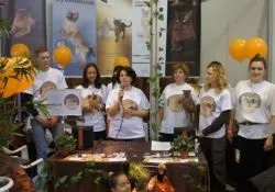 Розплідник бурманских кішок chatburdeoa
