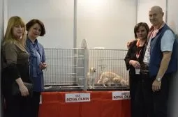 Розплідник бурманских кішок chatburdeoa