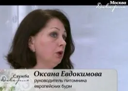 Розплідник бурманских кішок chatburdeoa