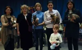 Розплідник бурманских кішок chatburdeoa