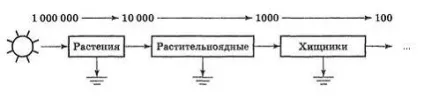 піраміда енергії