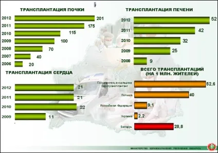 Пересадка органів в Білорусії, повна організація трансплантації (пересадка) Пересадка органів в Білорусії, повна організація трансплантації