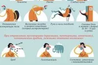 Чому не можна збирати і купувати гриби у дороги, довідка, питання-відповідь, аргументи і факти (гриби) Чому не можна збирати і купувати гриби у дороги, довідка, питання-відповідь, аргументи і факти