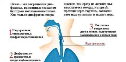 Чому людина гикає