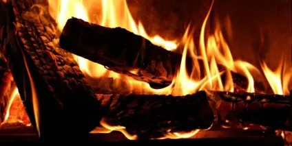 Чому їжа повинна бути смачною - блог михаила Яцика (смачною) Чому їжа повинна бути смачною - блог михаила Яцика