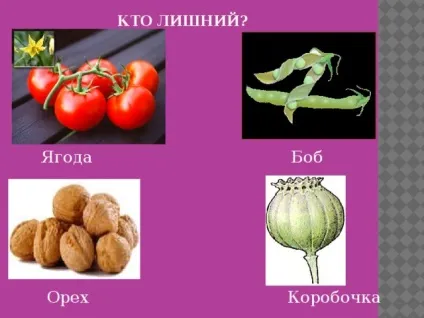 Плоди - біологія, уроки