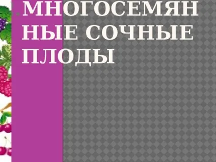 Плоди - біологія, уроки
