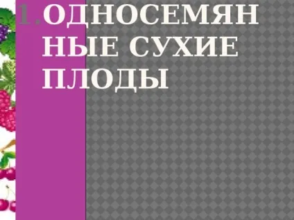 Плоди - біологія, уроки
