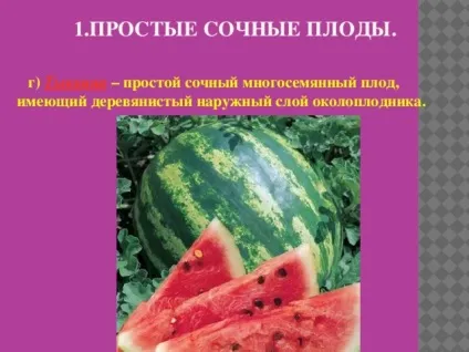 Плоди - біологія, уроки