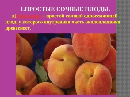 Плоди - біологія, уроки