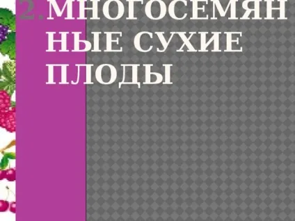 Плоди - біологія, уроки