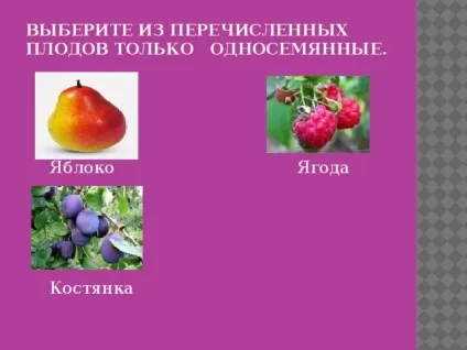 Плоди - біологія, уроки
