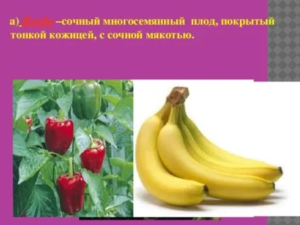 Плоди - біологія, уроки