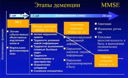 Догляд за хворими з деменцією як все робити правильно (догляд) Догляд за хворими з деменцією як все робити правильно