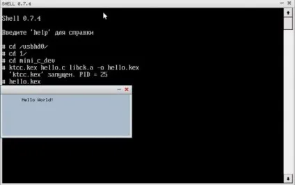 Вадбокс №2 найменша ос в світі