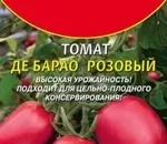 Підкажіть сорти томатів, стійких до фітофтори (стійких) Підкажіть сорти томатів, стійких до фітофтори