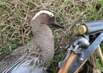 Підготовка до полювання