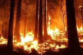 Чому горілка вУкаіни подорожчає до 300 рублів, і як це може бути пов'язано з мільярдером