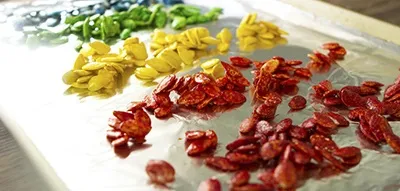 Вироби з гарбузового насіння своїми руками (вироби гарбузового насіння) Вироби з гарбузового насіння своїми руками