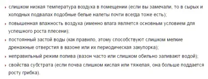 Чому в кімнатних квітах пліснявіє земля (слабким розчином марганцівки) Чому в кімнатних квітах пліснявіє земля