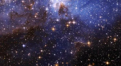 Чому ви не подорожуєте