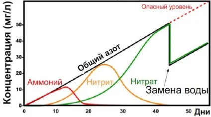Підміна води в акваріумі як часто і питання підготовки