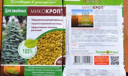 Підживлення чагарників навесні - які добрива і коли вносити відео (підгодівля) Підживлення чагарників навесні - які добрива і коли вносити відео