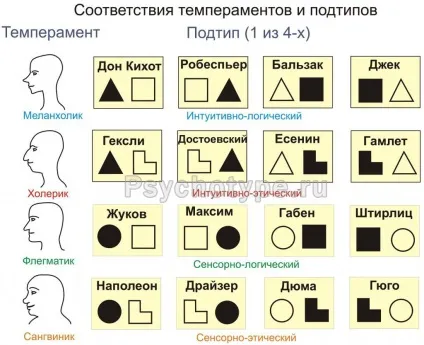 Підтипи - темпераменти і соціальні маски в соціоніці, школа физиогномические соціоніки т