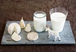 Користь козячого молока