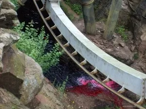 Поїздка в Англію