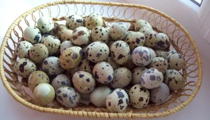 Користь перепелиних яєць для чоловіків як приймати і відгуки (приймати) Користь перепелиних яєць для чоловіків як приймати і відгуки