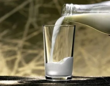 Пронос після молока, кефіру, молочних продуктів, діарея від сиру, чому з'являється рідкий стілець і (кефіру) Пронос після молока, кефіру, молочних продуктів, діарея від сиру, чому з'являється рідкий стілець і