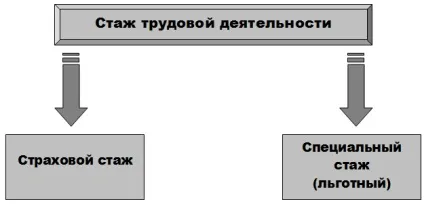 Поняття трудового стажу і порядок обчислення (стаж) Поняття трудового стажу і порядок обчислення