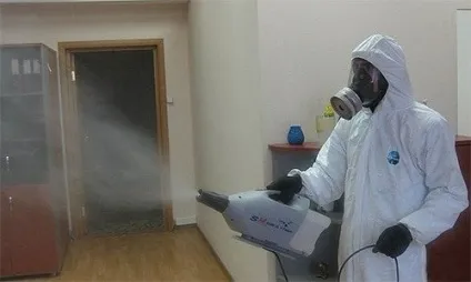 Постільне і домашнє блохи як позбутися назавжди (постільні) Постільне і домашнє блохи як позбутися назавжди