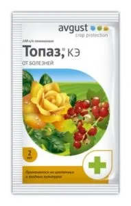 Препарат топаз для винограду інструкція із застосування фунгіциду (препарат) Препарат топаз для винограду інструкція із застосування фунгіциду