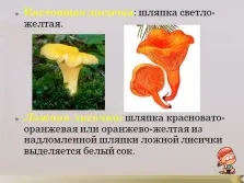 Презентація - гриби
